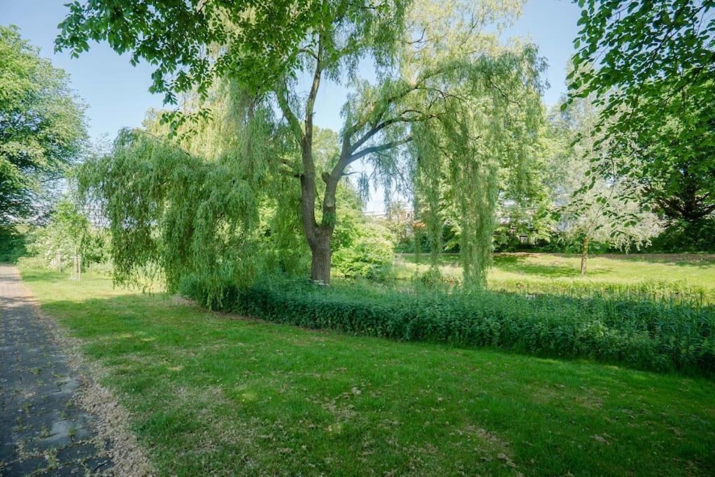 Cityhouse Alkmaar Ngoại thất bức ảnh